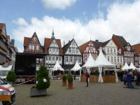 in Celle