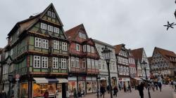 in Celle