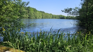 in Hohenlockstedt