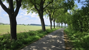 durch Wald und Flur