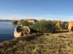 schwimmende Insel