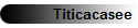 Titicacasee