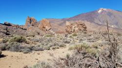 Teide