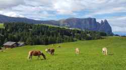 Seiser Alm