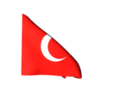 Flagge Trkei